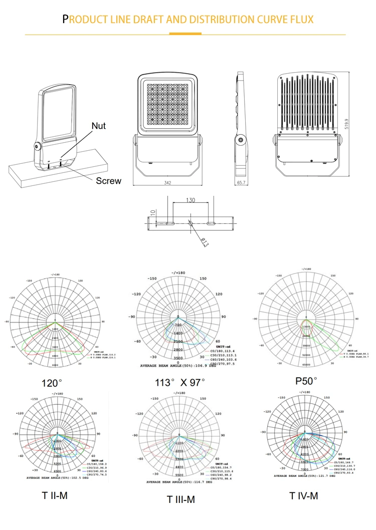 130lm/W LED Work Light IP66 LED Spotlight Waterproof Projector 50W 100W 150W 200W Tunnel Stadium Tennis Court Light LED Flood Light